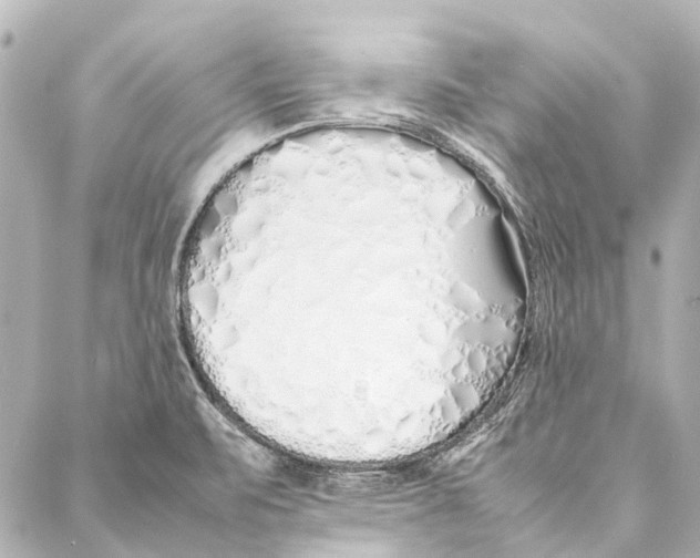 X0000086991471200705141728