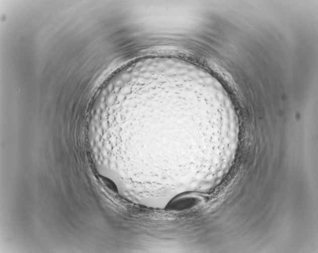 X0000086991473200705141728