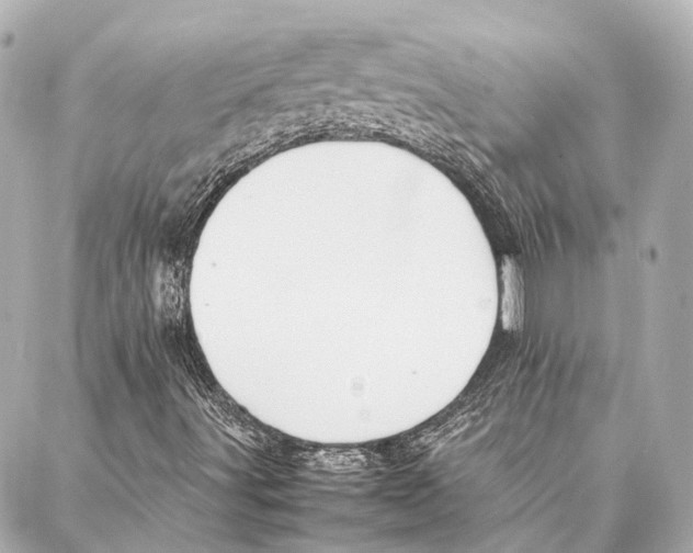 X0000086991491200705141727