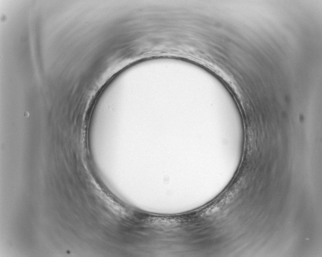 X0000086991525200705141728