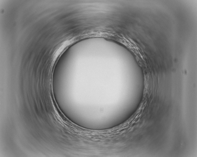 X0000087000003200704161238