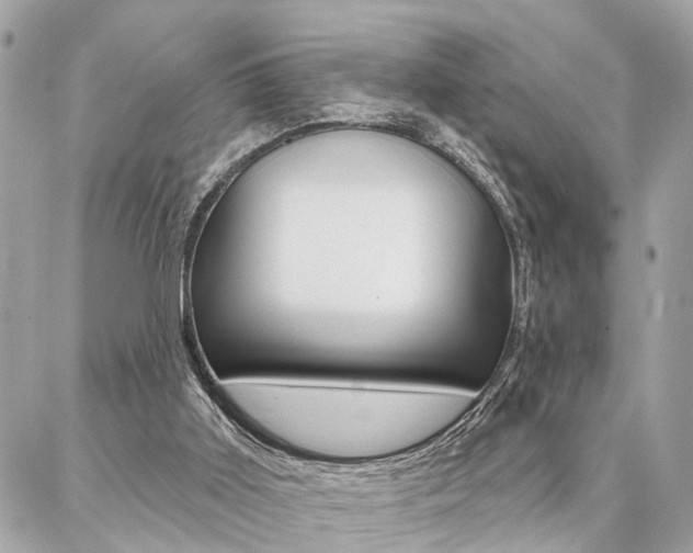 X0000087000011200704161238