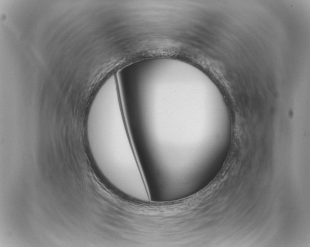X0000087000017200704161238
