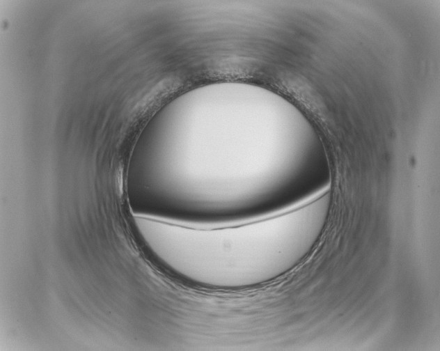 X0000087000021200704161238