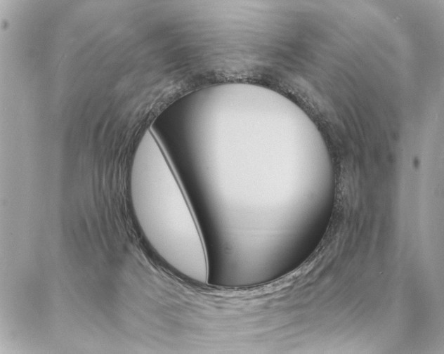X0000087000025200704161238