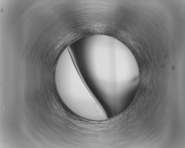 X0000087000027200704161238