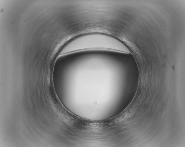X0000087000064200704161237