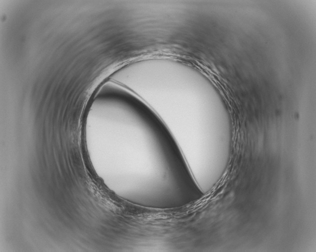 X0000087000100200704161236