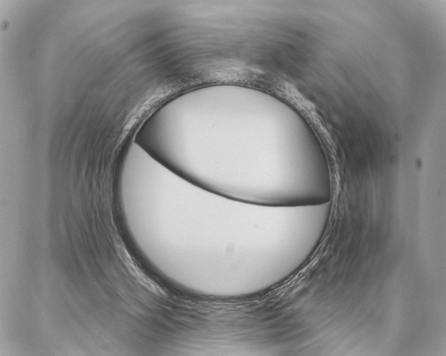 X0000087000106200704161236