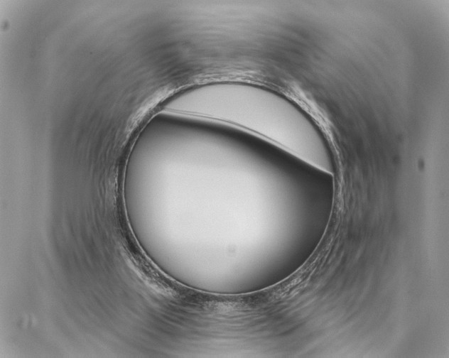 X0000087000107200704161236