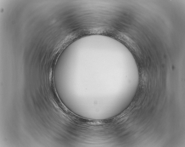 X0000087000118200704161236