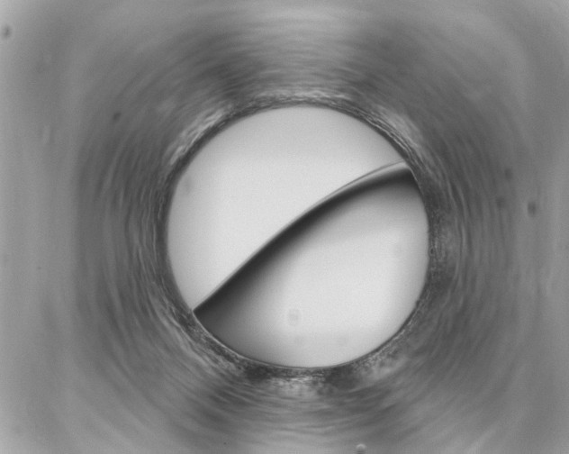 X0000087000120200704161236