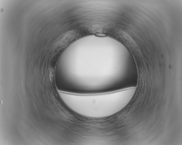 X0000087000125200704161236