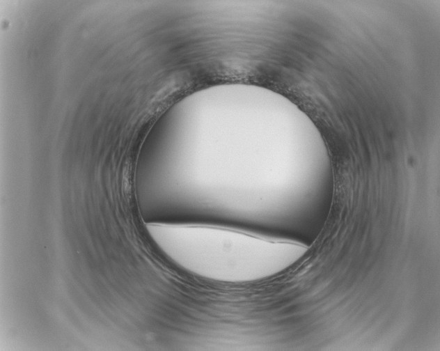 X0000087000131200704161236