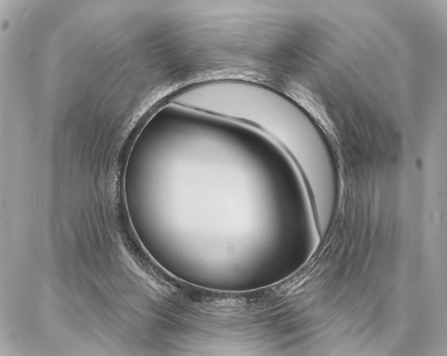 X0000087000156200704161235