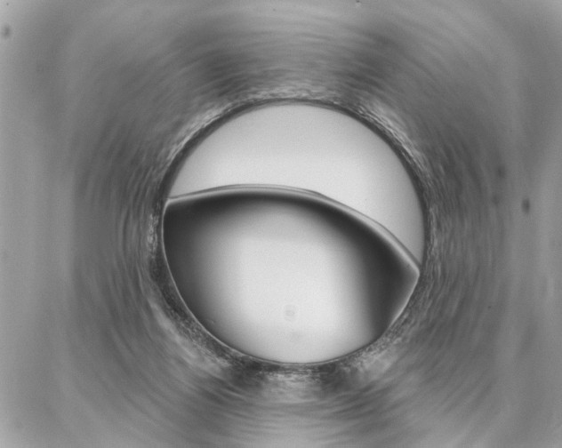 X0000087000164200704161235