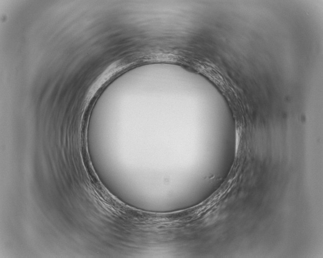 X0000087000195200704161235