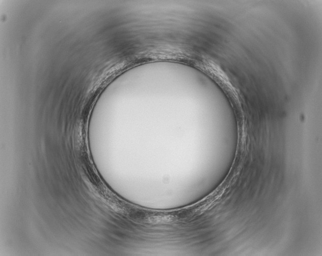 X0000087000202200704161234