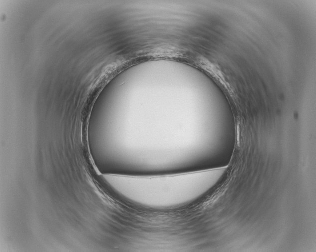 X0000087000205200704161234