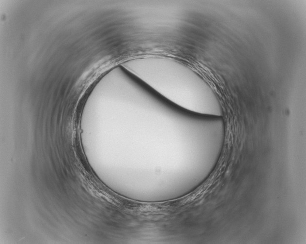 X0000087000290200704161233