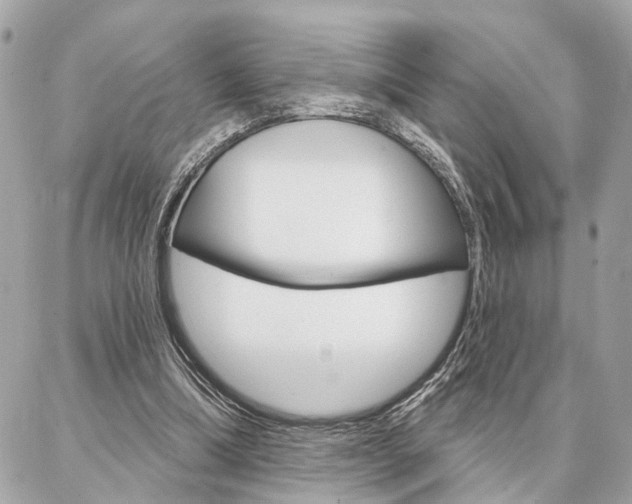 X0000087000298200704161233