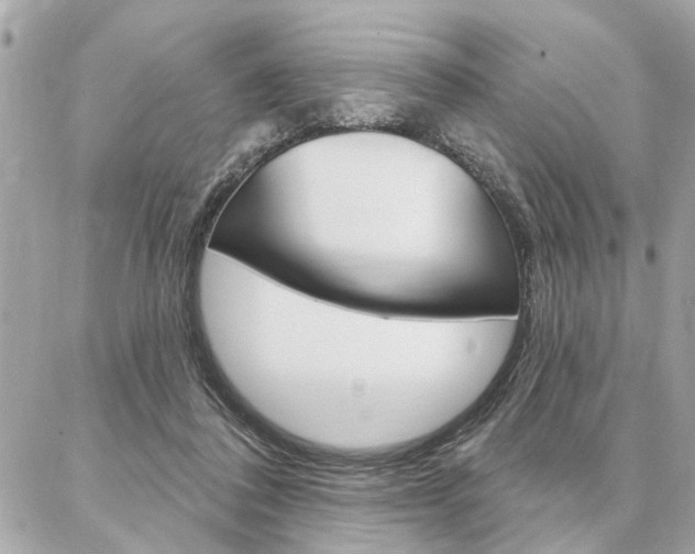 X0000087000308200704161233