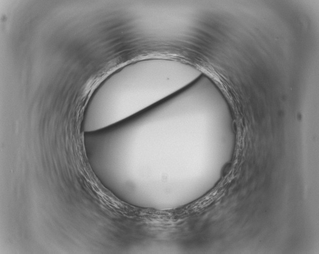 X0000087000337200704161231