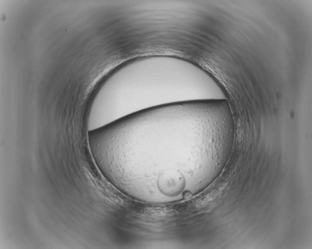 X0000087000351200704161231