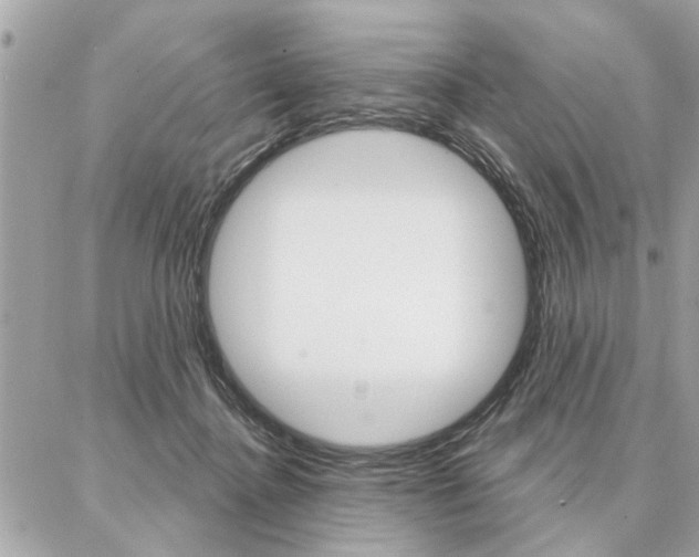 X0000087000364200704161232