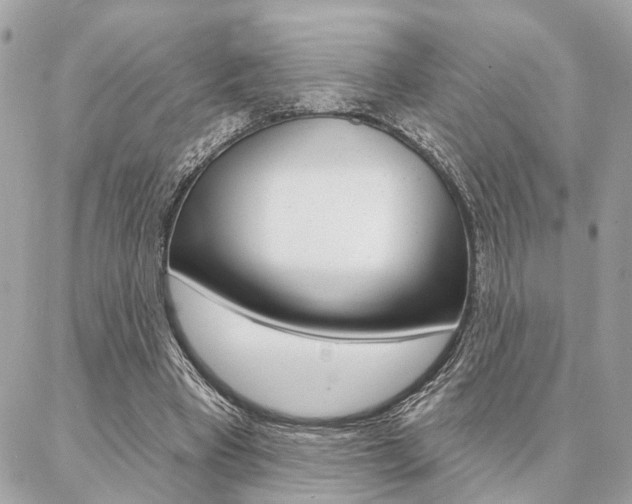 X0000087000393200704161231