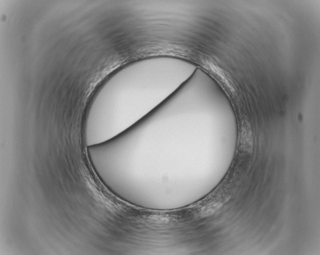 X0000087000394200704161231