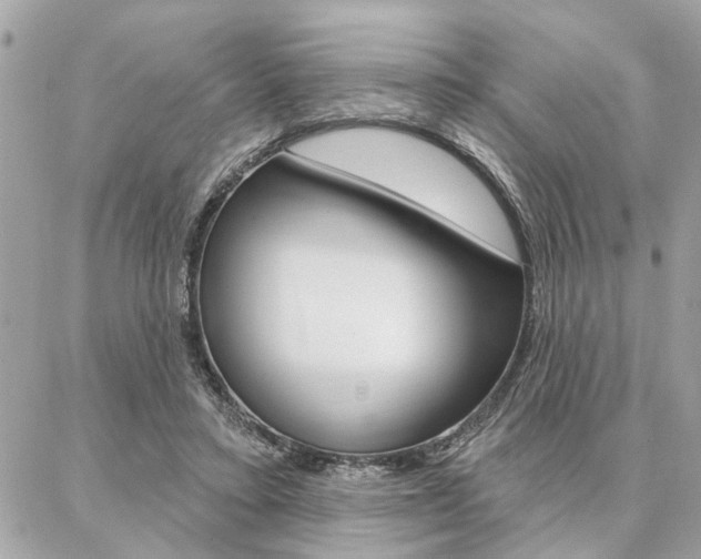 X0000087000403200704161231