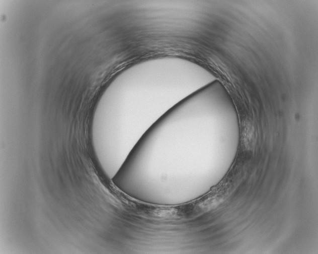 X0000087000410200704161231