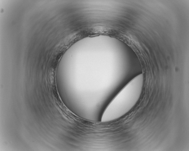 X0000087000413200704161231