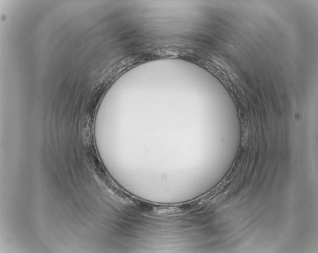 X0000087000414200704161231