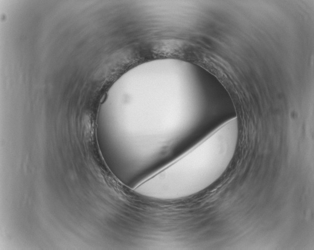 X0000087000420200704161230