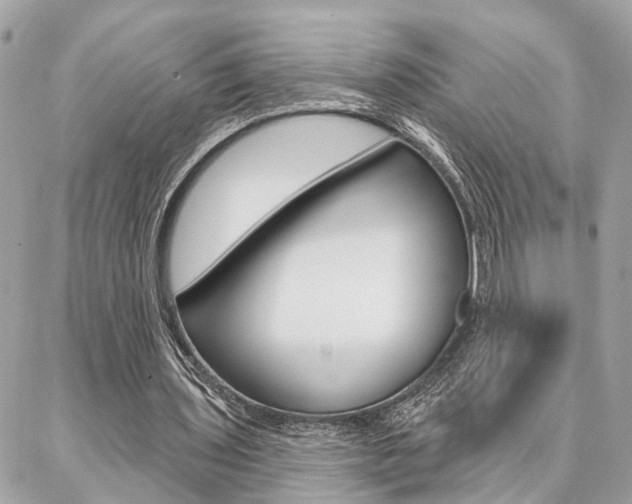 X0000087000435200704161229