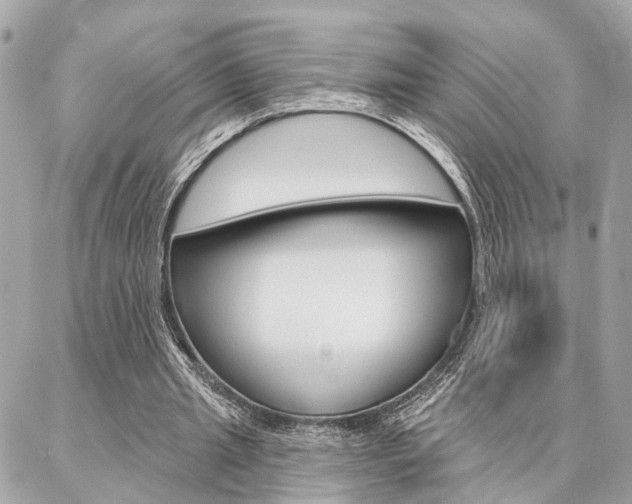 X0000087000437200704161229