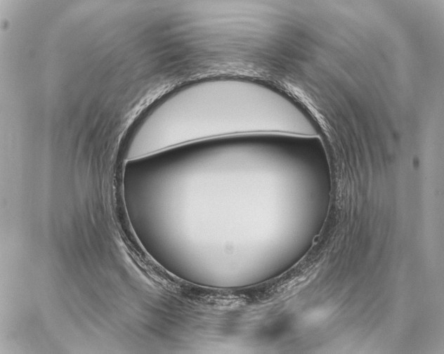 X0000087000443200704161230