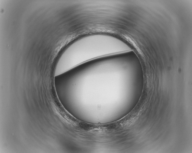 X0000087000447200704161230