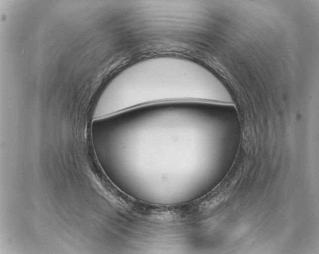 X0000087000454200704161230