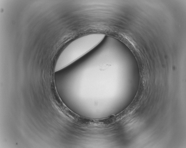 X0000087000455200704161230