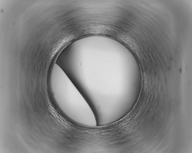 X0000087000482200704161229