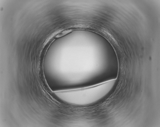 X0000087000484200704161229