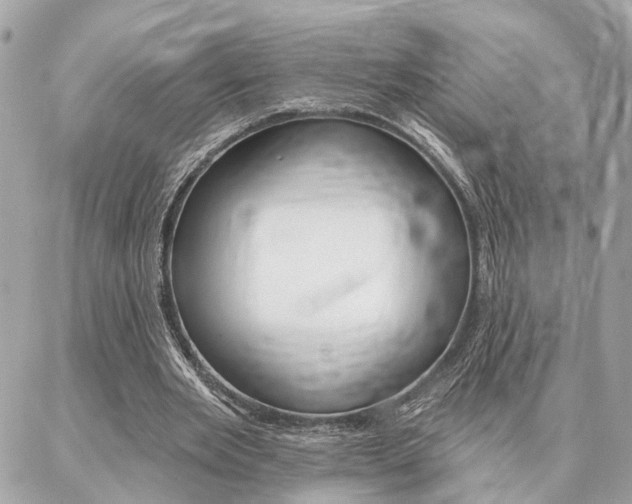 X0000087000485200704161229