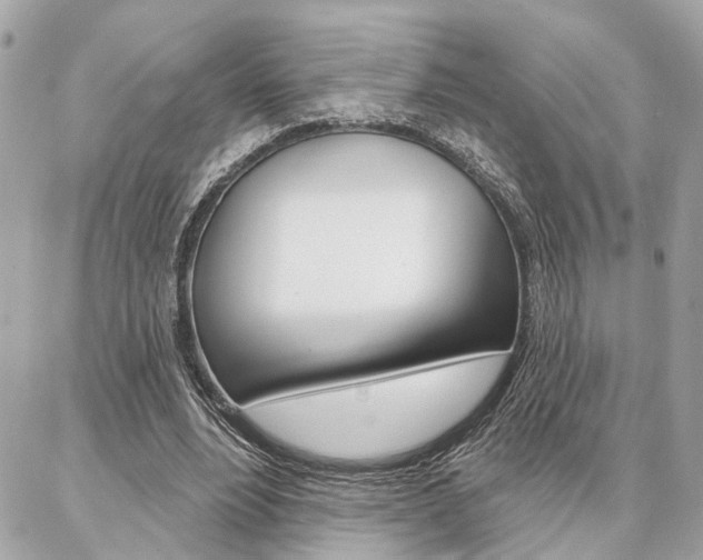 X0000087000488200704161229