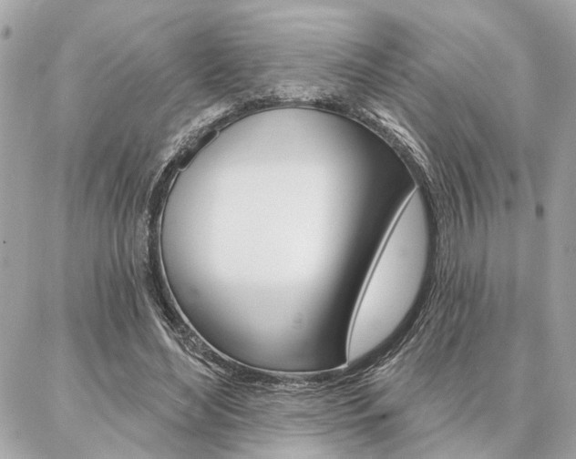 X0000087000492200704161229