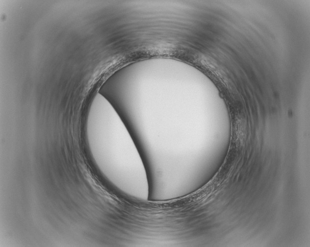 X0000087000494200704161229