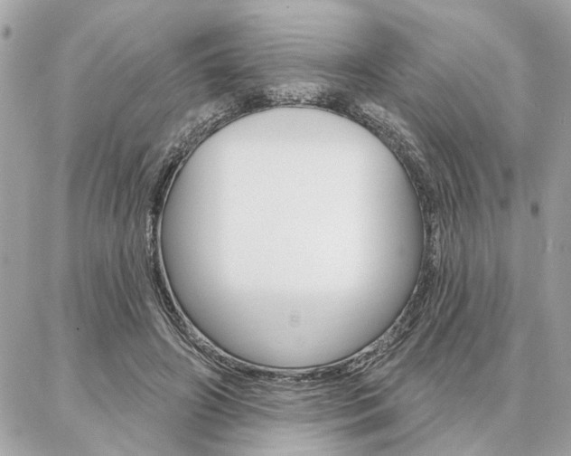 X0000087000498200704161229
