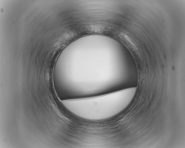 X0000087000500200704161229